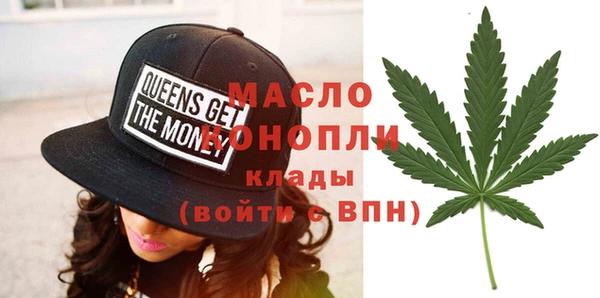 индика Киреевск