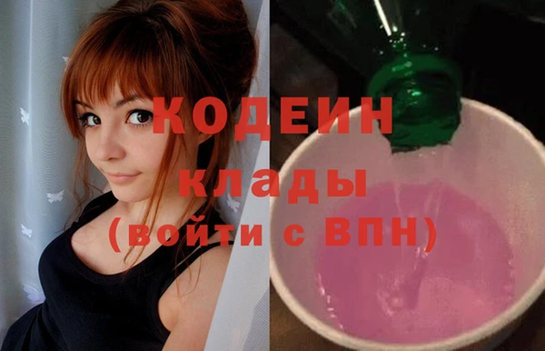 индика Киреевск