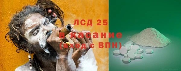 индика Киреевск
