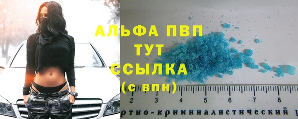 индика Киреевск