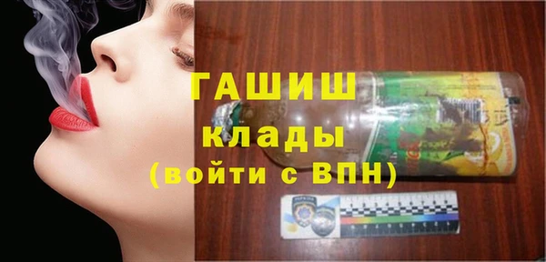 индика Киреевск