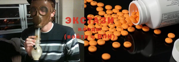 индика Киреевск