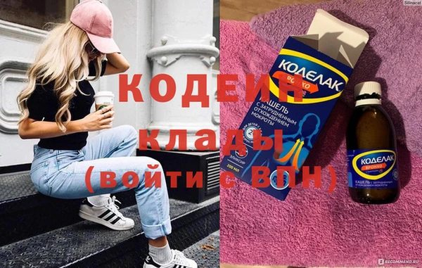 индика Киреевск
