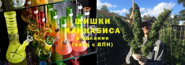 индика Киреевск