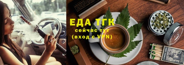 индика Киреевск