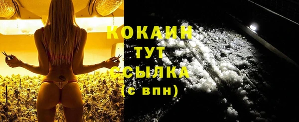 индика Киреевск