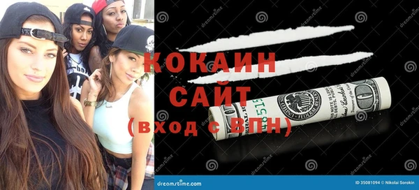 индика Киреевск