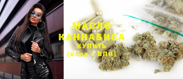 индика Киреевск