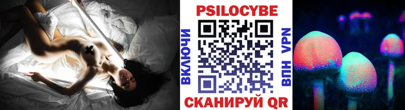 Купить  Северская  Галлюциногенные грибы GOLDEN TEACHER
